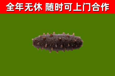 重庆市烟酒回收干海参.jpg